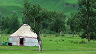 Image for Central Asia Workshop